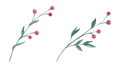 Set of two watercolor abstract greenery branches with red berries. Botanical illustration on a white background. For greeting cards, floral design.