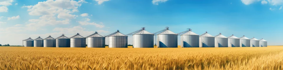 Tableaux ronds sur aluminium brossé Canada Grain silos in farm field. Agricultural silo or container for harvested grains.