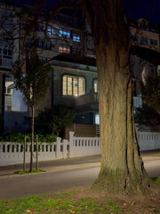 Nocturnal Glow: An Urban Tree's Evening Watch