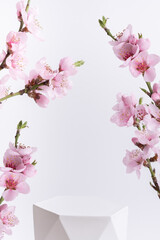 Podium or pedestal for cosmetics product decorated with cherry blossom twigs. Cosmetic template