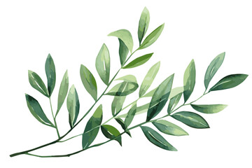 Watercolor green branch with leaves. Green leaves on transparent background, design element for invitation and more.. Vector illustration. - obrazy, fototapety, plakaty