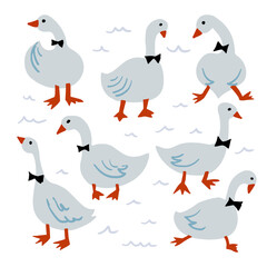 Collection of gentlemen geese. Vector illustration of cartoon geese with bow ties in various actions: standing, jumping, running, walking. Isolated on white. 