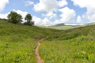 Naklejka premium Walking in the highlands in a natural park, during the flowering of plants and warm weather.