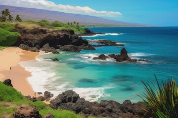 Fototapeta premium beach Hawaii 