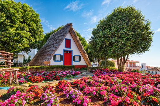 Traditional Houses on Madeira during a Sunny Day