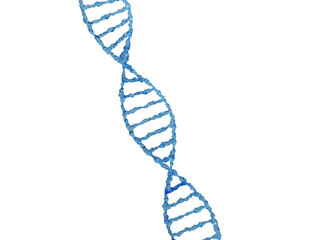DNA structure on transparent background. 3d render. Molecule, structure, spiral dna for biomedical, health, chemistry design. 3D style DNA chromosome concept. Science technology. PNG