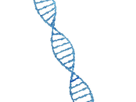 DNA structure on transparent background. 3d render. Molecule, structure, spiral dna for biomedical, health, chemistry design. 3D style DNA chromosome concept. Science technology. PNG