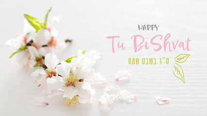 White pink almond tree flowers on a white wooden background. Jewish holiday Tu Bishvat. Top view,...
