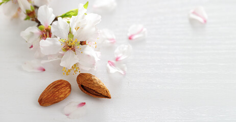 White pink almond tree flowers with almonds on a white wooden background. Jewish holiday Tu Bishvat. Top view, flat lay