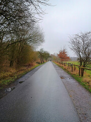 Straße an den Rieselfeldern in Münster