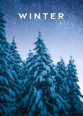 Winter text illustration, winter landscape with snowy pine trees at night. Winter vertical poster
