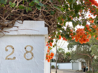 Twenty-eight. Mailbox with orange flowers. Fifteen. Number twenty eight on a wall. Address on a...