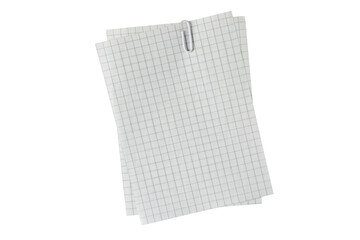 Two sheets of checkered paper held together with a white paper clip isolated transparent png. Empty memo pad.
Blank exercise book page. Document or shopping list mockup. Invoice with copy space. Note 