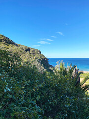 Green mountains, bushes, beach and bay in the ocean. View of the coast of island. Luxurious landscape. Sydney, Australia.