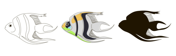 Set of three striped fish in line and doodle style , and black silhouette. Vector illustration isolated on white background