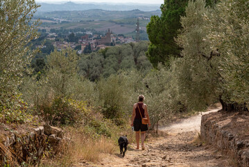 A female tourist walking with her dog on a path among olive trees in the Tuscany, Vinci village is...
