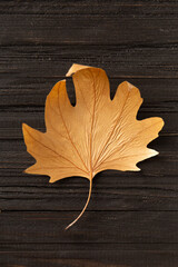 Obraz premium Autumn dry leaf on wooden background top view.