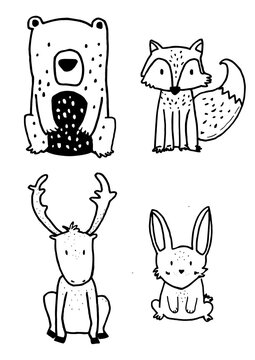 Animales del bosque