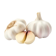 GARLIC isolated on white and transparent background
