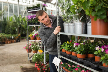 Confident man working in garden store, arranging potted flowers preparing for sale