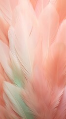 Feathers in pastel colors in shades of pink, peach, and green. Feathers texture background. Use as Backdrops for design projects, Fashion or decor. Concept of Softness and elegance. Vertical