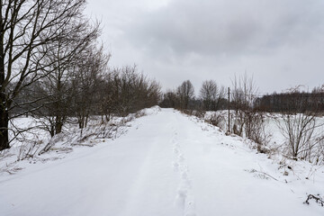 Fototapeta na wymiar Zimowa panorama zaśnieżonej polnej ścieżki porośniętej dookoła drzewami w popołudniowych godzinach pochmurnego szarego dnia w Zachodniej Polsce