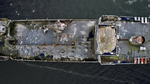 Abandoned ship with a touch of greenery at sea.