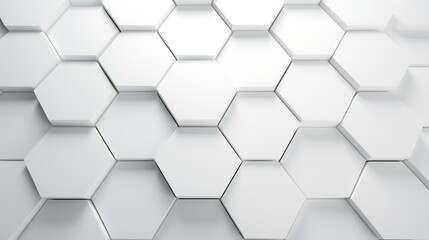 White Wide Hexagon Background - Site Header


