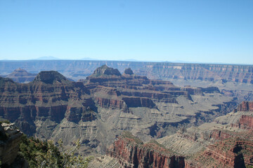 A picture of the Grand Canyon from the North Rim