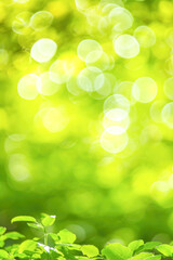 Fototapeta premium abstract bokeh background