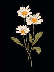 vector flowers illustration, white flowers, modern art, art deco, flowers, colors.