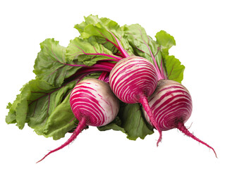 a group of red and white radishes with green leaves