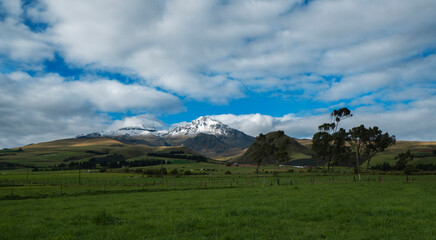 Panoramic view of ice-covered Los Ilinizas volcano over green fields with grazing cows and trees on a sunny day with blue sky