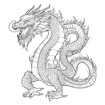 long, scaly chinese dragon with no wings, with four legs, coloring book page style, vector, black lines outline white image, portrait