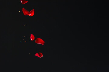 Red Rose Petals Falling on Black Background