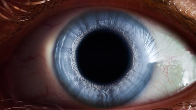 Human eye blue iris opening pupil extreme close up slow motion 60fps 4k