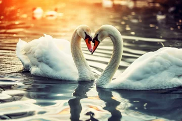 Foto op Aluminium Two swans form a heart. Background with selective focus and copy space © top images