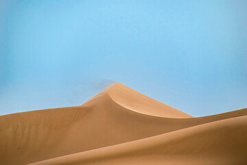 Fototapeta na wymiar Duna 02- profilo di duna spazzata dal vento