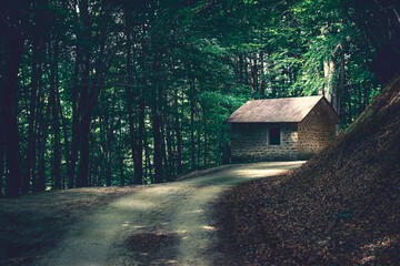 Casa nel bosco