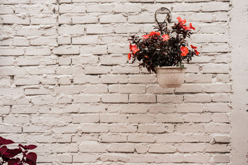 pared de ladrillo de color blanco con textura rugosa y una planta con flores colgada en una maceta  - obrazy, fototapety, plakaty
