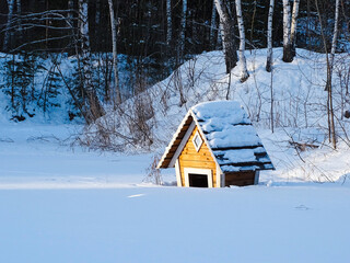 house in the woods