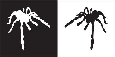 Illustration vector graphics of spider icon
