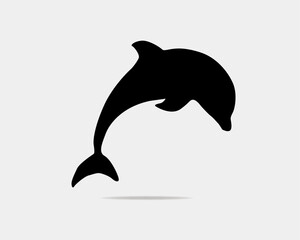 silhouette of a dolphin