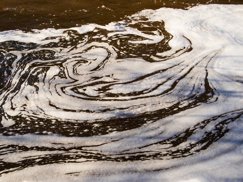 Swirls of organic matter gather on the surface of a creek in a calm eddy