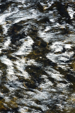 scintillating sunlight reflecting off a small rapid in a stream