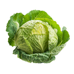 Obraz premium Fresh savoy cabbage, vegetables, isolated on transparent background