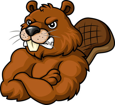 Angry beaver cartoon on white background