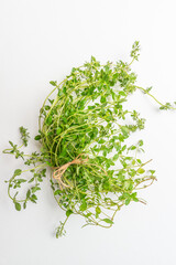 Branch of thyme, fresh herb isolated on white background
