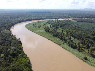 The Kinabatangan river is one of the best and most easily accessible places to see wildlife in...