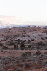 rocky landscape in the desert with mountain 
